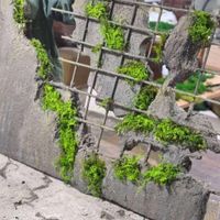 نسل جدید گرین وال|گل مصنوعی|تهران, جردن|دیوار