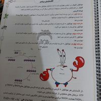 درسنامه زیست هر سه پایه استاد خیرخواه معانی|کتاب و مجله آموزشی|تهران, تهرانپارس شرقی|دیوار
