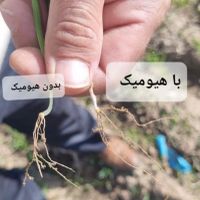 کارشناس برنامه کوددهی باغ و زمین کشاورزی|خدمات باغبانی و درختکاری|اصفهان, مصلی|دیوار