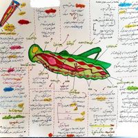 تدریس خصوصی زیست شناسی نهایی و کنکوری ( تضمینی )|خدمات آموزشی|تهران, خواجه نصیر طوسی|دیوار