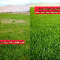 کارشناس برنامه کوددهی باغ و زمین کشاورزی|خدمات باغبانی و درختکاری|اصفهان, مصلی|دیوار