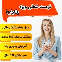 آنلاین، پاره وقت با خانم های خانه دار و شاغل|استخدام بازاریابی و فروش|تهران, بهارستان|دیوار