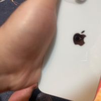 اپل iPhone 13 با حافظهٔ ۱۲۸ گیگابایت|موبایل|بندرعباس, |دیوار