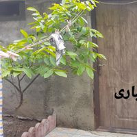 خانه اجاری همکف ومستقل|اجارهٔ خانه و ویلا|مشکین‌شهر, |دیوار