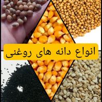 کنجد و ارده و روغن کنجد|خوردنی و آشامیدنی|تهران, شوش|دیوار