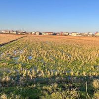 فروش زمین ۲۰۷۵ متری در روستای کوه بنه لاهیجان|فروش زمین و ملک کلنگی|لاهیجان, |دیوار