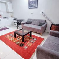 آپارتمان مبله فول امکانات هفت تیر|اجارهٔ کوتاه‌مدت آپارتمان و سوئیت|مشهد, هفت تیر|دیوار