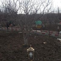 فروش باغ ،زمین،ویلای آماده،در روستای زین آباد|فروش خانه و ویلا|تبریز, |دیوار