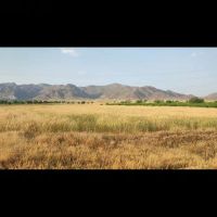 زمین-کشاورزی