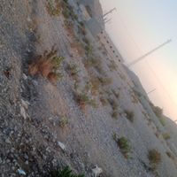فروش زمین ۱۱۰۰ متری|فروش زمین و ملک کلنگی|تخت, |دیوار