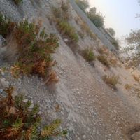 فروش زمین ۱۱۰۰ متری|فروش زمین و ملک کلنگی|تخت, |دیوار