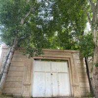 باغ-سرسبز-و-جنگلی