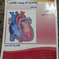 کتاب زیست شناسی پرسمان  و عربی من و درسام پایه دهم|کتاب و مجله آموزشی|تهران, صادقیه|دیوار