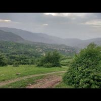 زمین-مسکونی-داخل-طرح