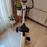 دوچرخه ثابت حرفه‌ای HAMMER cardio Xt5|تجهیزات ورزشی|تهران, کاظم‌آباد|دیوار