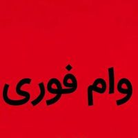 وام فوری فقط در پنج روز|فعالیت داوطلبانه|تهران, استاد معین|دیوار