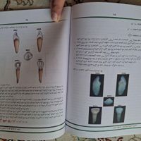 کتاب شناخت آناتومی و مورفولوژی دندان|کتاب و مجله آموزشی|تهران, اقدسیه|دیوار