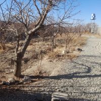 چهاردیواری-850متر-سند-تک-برگ-دهشاد-مجتمع-باغستان