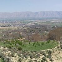 زمین-دست-خضر