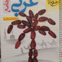 کتاب های جامع و کمک آموزشی رشته انسانی ویژه کنکور|کتاب و مجله آموزشی|تهران, تهرانپارس شرقی|دیوار