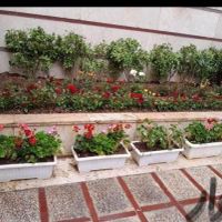 فروش گل خدمات کاشت گل باغبانی|خدمات باغبانی و درختکاری|تهران, نواب|دیوار