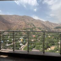 265-تک-واحدی-میگون-نو