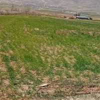 زمین-کشاورزی-آبی