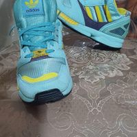 zxفیروزه ای 40.5|کیف، کفش، کمربند|تهران, نارمک جنوبی|دیوار