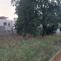 فروش-زمین-ساحلی-در-گهرباران