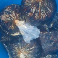 فروش خرما قیمت حراج کیلویی  ۳۵ت|حراج|شادگان, |دیوار