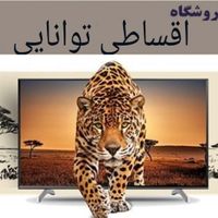 دوو سامسونگ سونی پاناسونیک الجی بدون پیش 55/65/75|تلویزیون و پروژکتور|تهران, شهرک غرب|دیوار