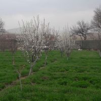فروش باغ ،زمین،ویلای آماده،در روستای زین آباد|فروش خانه و ویلا|تبریز, |دیوار