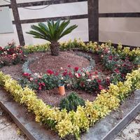 خدمات باغبانی کاشتن گل باغچه کاری تعویض خاک گلدون|خدمات باغبانی و درختکاری|تهران, یوسف‌آباد|دیوار