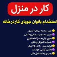 کار در منزل به صورت انلاین فقط برای بانوان|استخدام بازاریابی و فروش|تهران, میرداماد|دیوار