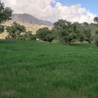 فروش-یک-قطعه-زمین-کشاورزی