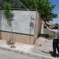 کلیه کارهای باغبانی وسمپاشی باغ بانی|خدمات باغبانی و درختکاری|مشهد, کلاهدوز|دیوار