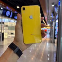 اپل iPhone XR ۱۲۸ گیگابایت|موبایل|تهران, شیخ هادی|دیوار