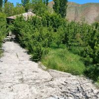 ویلا-کولج