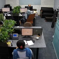 نیروی خدماتی خانم