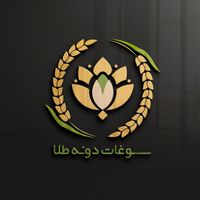 طراحی لوگو. تراکت. کارت ویزیت. پوستر. کاتالوگ|خدمات رایانه‌ای و موبایل|تهران, نارمک|دیوار