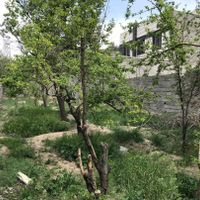 ملک گلنگی با ۱۸۰ متر اعیان، دارای حیاط، سند تک برگ|فروش زمین و ملک کلنگی|کرج, کلاک نو|دیوار