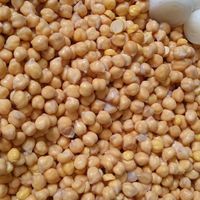 مایه فلافل درجه یک آبادانی با ادویه خاص|خوردنی و آشامیدنی|تهران, اکباتان|دیوار