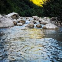 راهنمایی رایگان انجام میدهم|فعالیت داوطلبانه|تهران, امانیه|دیوار