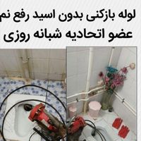 لوله بازکن رفع نم55%تخفیف 24ساعت بدون۱سیدکل شهرچاه|خدمات پیشه و مهارت|مشهد, وکیل‌آباد|دیوار