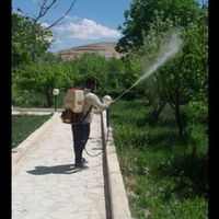 خدمات پیوندی باغبانی سم پاشی طرح فضای باغچه|خدمات باغبانی و درختکاری|تهران, سهروردی|دیوار