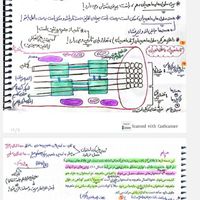 جزوه زیست و شیمی و فیزیک تجربی ریاضی|کتاب و مجله آموزشی|تهران, ستارخان|دیوار