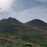فروش-وشراکت-معدن-لاشه-مالون-اسپره-خوان-سفیده-خوان
