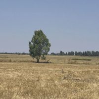 ملک-کلنگی-230-متری-با-بر-10-در-شقایق