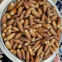 بلوط تازه|خوردنی و آشامیدنی|تهران, خانی‌آباد|دیوار