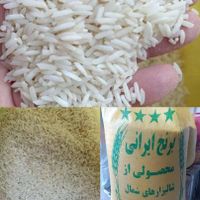 برنج شیرودی فجر هاشمی هندی خاطره وسانلندوماکارونی|خوردنی و آشامیدنی|تهران, گمرک|دیوار